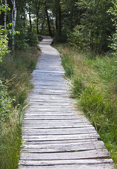 Holzbohlenweg im Schwarzen Moor, Rhön